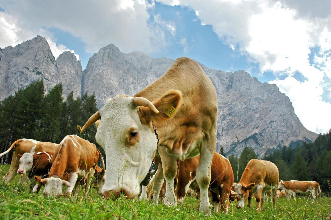 Bohinj Eco Hotel Bohinjska Bistrica Bagian luar foto